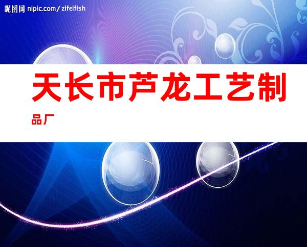 天长市芦龙工艺制品厂